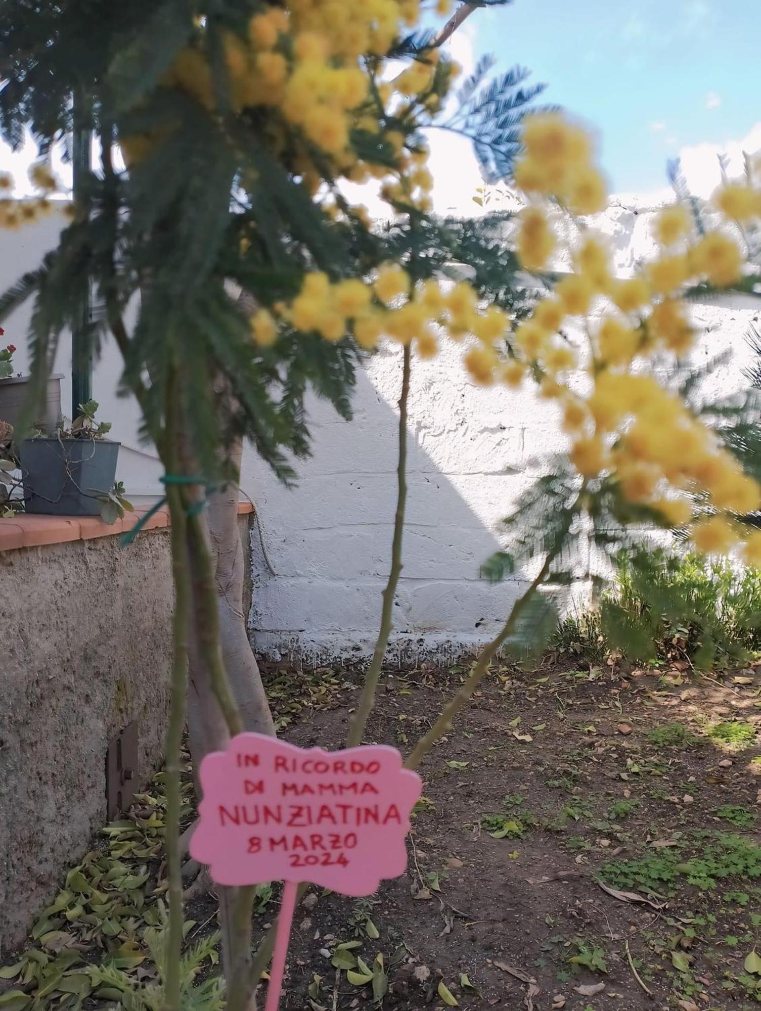 Nel Giardino Di Nunziatina Apartman Szirakúza Kültér fotó