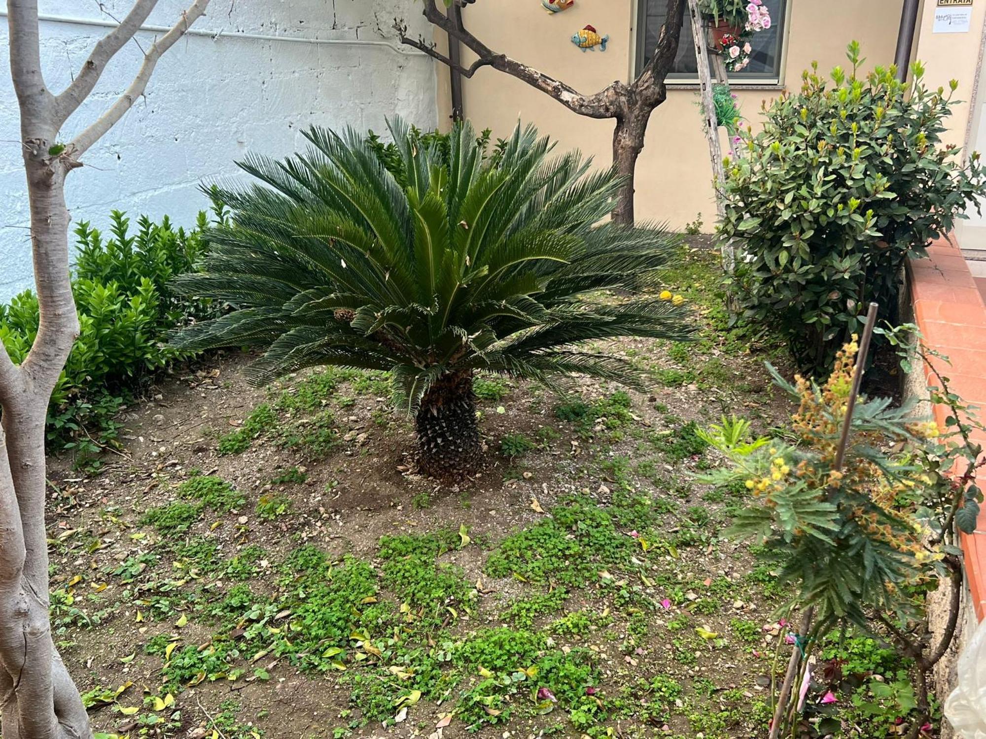Nel Giardino Di Nunziatina Apartman Szirakúza Kültér fotó